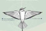 birding-places enregistrer ou trouver un site d'observation de l'avifaune