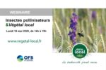 Insectes pollinisateurs et Végétal local - 18 mai 2020