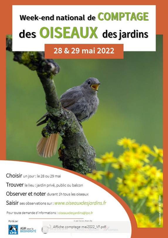 Les 28 et 29 mai 2022 : Rendez-vous au jardin pour le comptage des oiseaux  - LPO Nord
